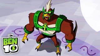 Omniverse: Dragon Charmcaster | Ben 10 | Cartoon Network