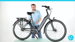 Batavus E-go Power Exclusiv