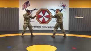 US Army Warrior Taekwondo Program