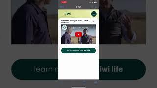 iwi life's Brij experience