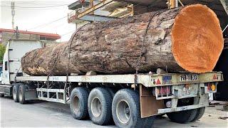 Amazing Sawmill Wood Cutting - Giant Wood Saw That Works Continuously Powerful Cut Super Large Wook