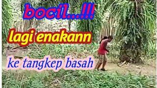 LAGI 3N4K4N KE TANGKEP BASAH BOCIL BERKEMBANG BIAK DI KEBUN SAWIT