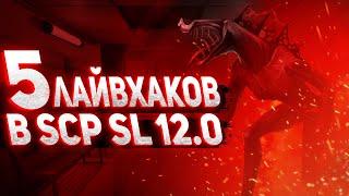 5 Лайфхаков В SCP SL | Лайфхаки, SCP Secret Laboratory 12.0