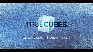 True Cubes - Ice So Clear Everything Disappears