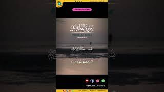 Healing After Separation ️ | Surah Talaq Brings Light 