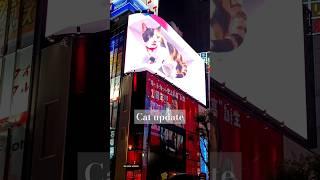 Shinjuku cat update real sound #tokyo #shinjuku #cat #japan