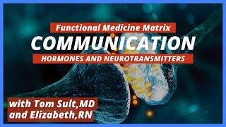 Hormones and Neurotransmitters | The Communication Node of the Functional Medicine Matrix