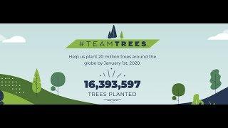 SOPHIE'S MAGICAL WORLD SUPPORTS TEAM TREES Let's Help Mr Beast Plant some Trees