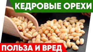 Кедровые орехи - Польза и Вред