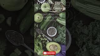 Gardening Tips for Beginners