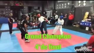 WAKO / Axel Vargas vs Javier Seguetti -Grand Champion II Rosario Open 4° de final