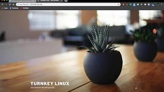 Installing Turnkey Wordpress in VirtualBox