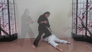 Aikido for Black Belt: Over Neck Throws