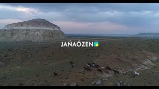 Janaozen Tv