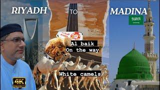 Riyadh To Madina Blessed Journey | White camels | Al Baik Lunch | Oman to Saudia | Ep03