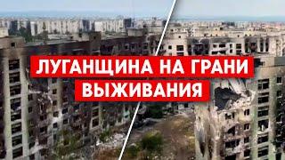 Северодонецк, Лисичанск, Рубежное: Люди на грани выживания