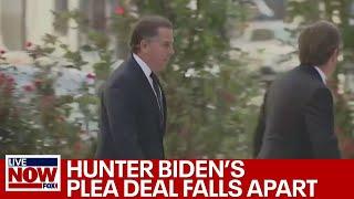 Hunter Biden plea deal falls apart in federal court | LiveNOW from FOX