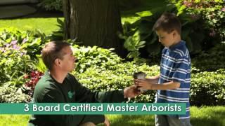 Wachtel Tree Service TV Spot Amazing Arborists 30 HD