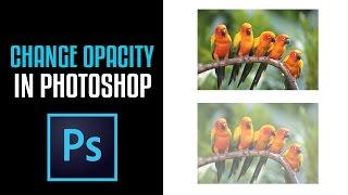 How to change The Opacity of an Image in Photoshop CS6