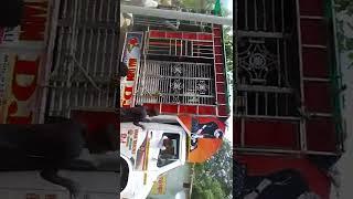 Maa Tarini Dj Karlabahali Mob:9777409471/9937666271