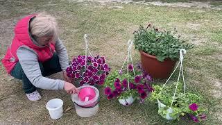 My joy, my delight! How did I live without it before? I love to trim. Flowers by Svetlana Zhuravl...