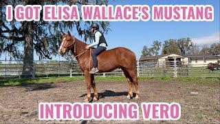 I GOT ELISA WALLACE'S MUSTANG | Vero 1