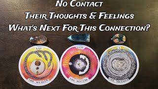 No Contact | Their Thoughts & Feelings  What's Next For This Connection? Pick A Card Love Reading