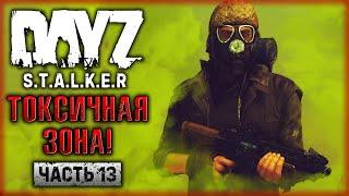 ВНИМАНИЕ, СТОЙ!!! ДАЛЬШЕ ТОКСИЧНАЯ ЗОНА! | DayZ Anomaly Stalker Pve ️ | (часть 13)