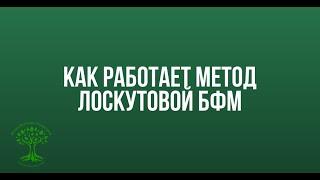 Как работает метод Лоскутовой БФМ?