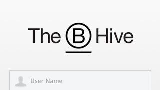 Welcome to the B Hive