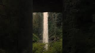Silver Falls #nature #wildlife #explore #travel #waterfall #hiking #outdoors #pnw #oregon #camping