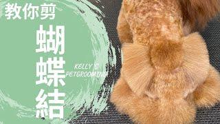 教你剪「蝴蝶結」｜凱莉老師 Groomer Kelly｜寵物美容教學｜Bichon Frise Pet Grooming