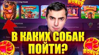 БИТВА СОБАК! Какой Слот Дает Бабло? Топ 5 The Dog House! Обзор на слоты! РТП и Шанс!