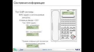 Особенности системных телефонов NEC SL1000