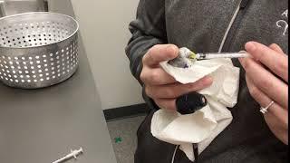 Budgie Medication Demonstration - Winrose Animal Hospital
