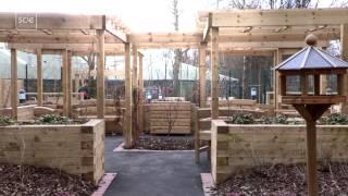 The dementia environment in a care home