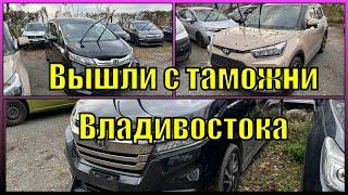 Прошли таможню и лабораторию на Toyota Raize 2020 \ Honda Stepwgn 2020 \ Honda Freed 2017