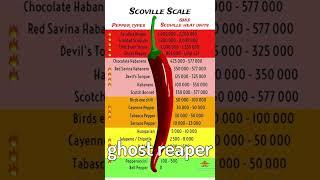 Eating the HOTTEST chili in the WORLD! CHALLENGE! #shorts