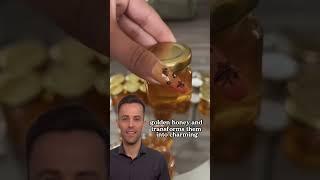 Honey Jar Magic Turning Creativity into Profit!