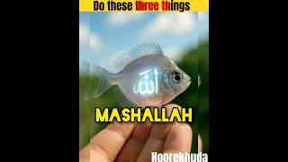 Do these 3things #islamicvideo #viir #shots #islam
