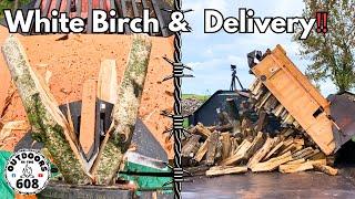 Splitting White Birch & Firewood Delivery