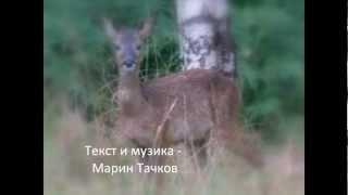 Марин Тачков - Щедрото дете.wmv