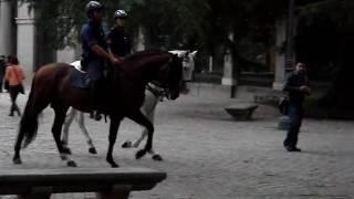 rangers of madrid