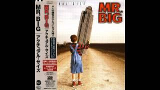 Mr. Big - Arrow