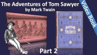 Part 2 - The Adventures of Tom Sawyer Audiobook by Mark Twain (Chs 11-24)