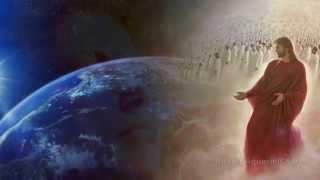 God's Cricket Chorus  (No Human Voices Or Instruments)