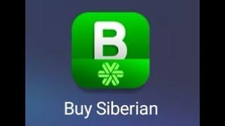 Приложение Buy Siberian