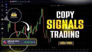 Binolla copy trading | binolla trading free signals | urdu hindi