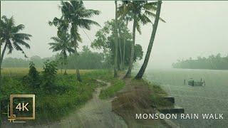 Refreshing Monsoon Rain Walk in a Beautiful Village of Kerala | ASMR Rain Sounds for Deep Sleep