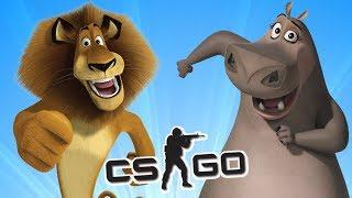 БЕГЕМОТЫ ЗАТРОЛИЛИ ЛЬВА  CS:GO Тролль Прятки (КС ГО Маньяк)